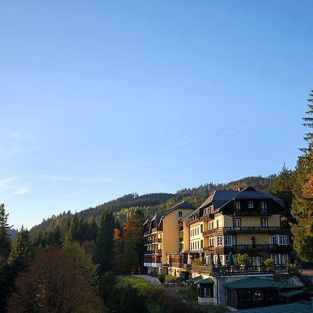 Alpenhotel Goesing Puchenstuben Extérieur photo