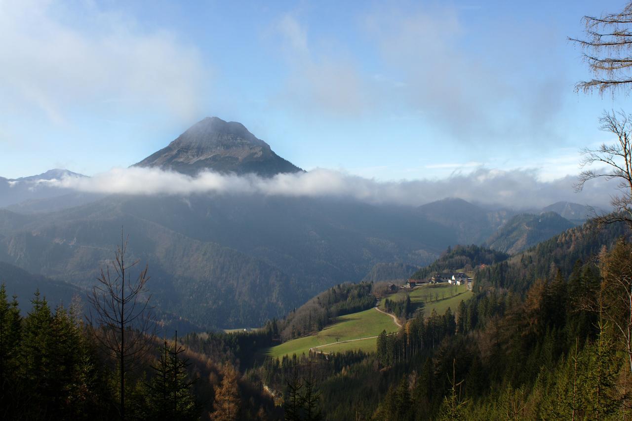 Alpenhotel Goesing Puchenstuben Extérieur photo