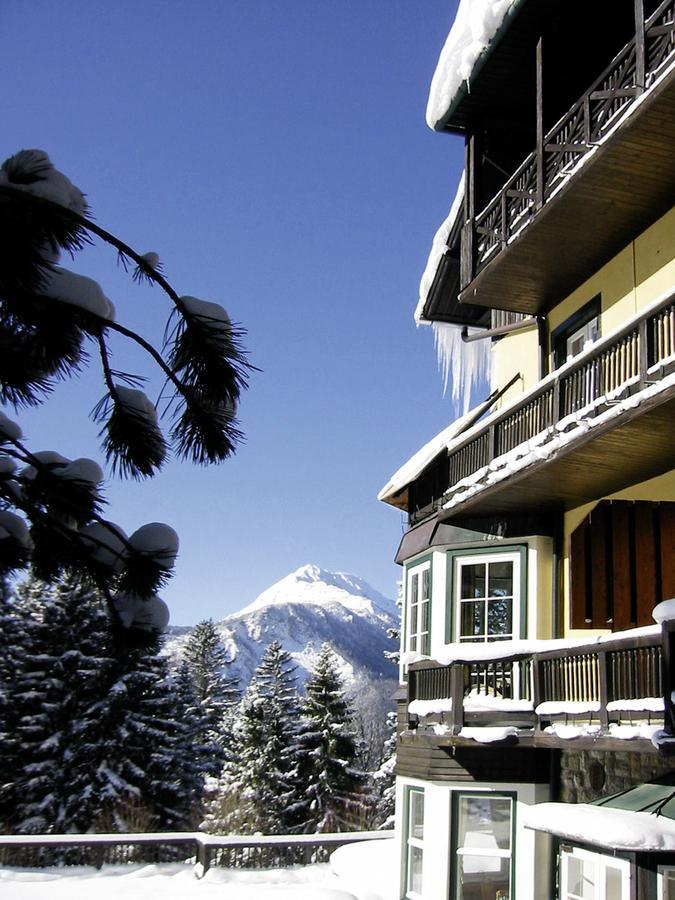 Alpenhotel Goesing Puchenstuben Extérieur photo