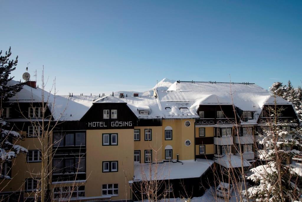 Alpenhotel Goesing Puchenstuben Extérieur photo